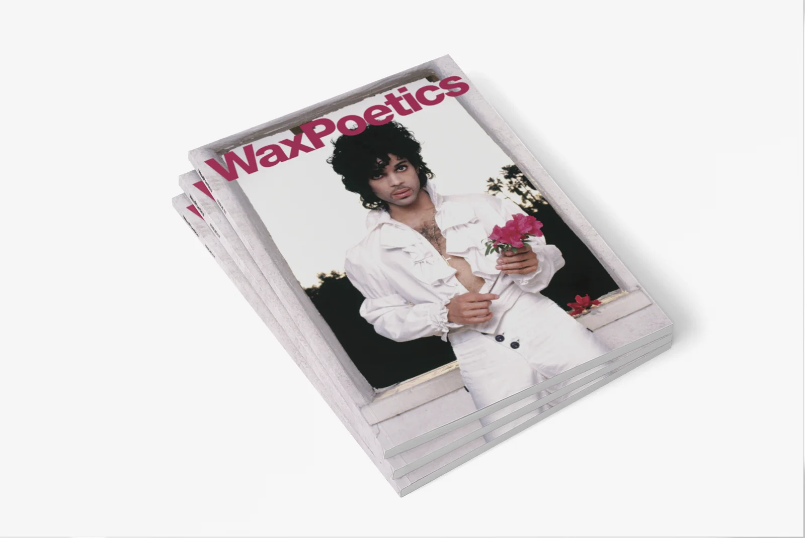 The Prince Edition Owen Husney view 4