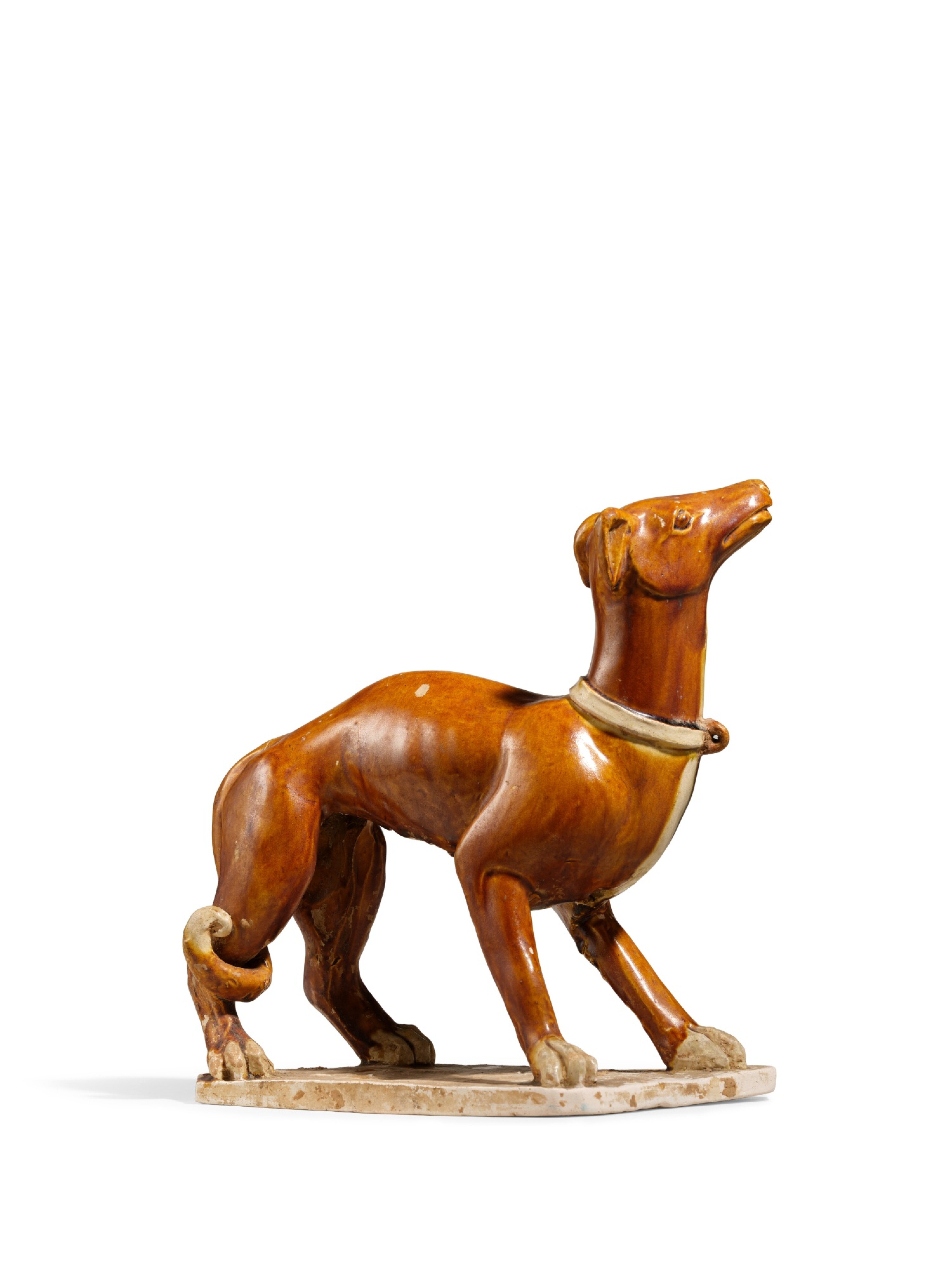 A rare amber-glazed figure of a dog, Tang dynasty 