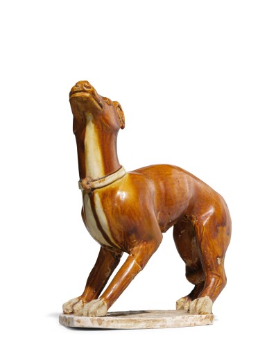 A rare amber-glazed figure of a dog, Tang dynasty  view 4