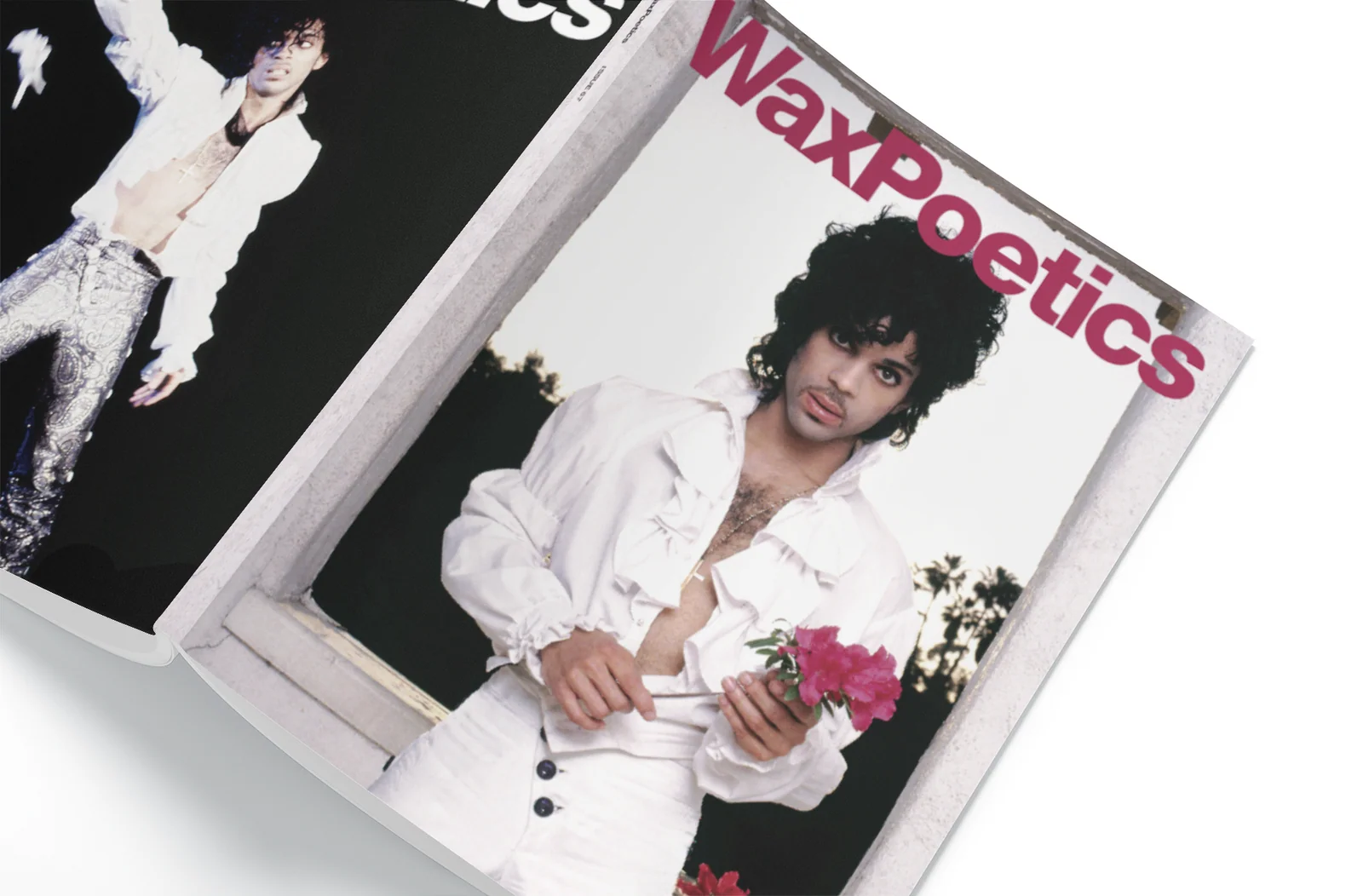 The Prince Edition Owen Husney view 3
