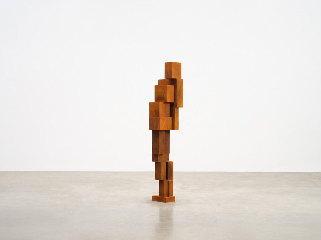 Antony Gormley view 3