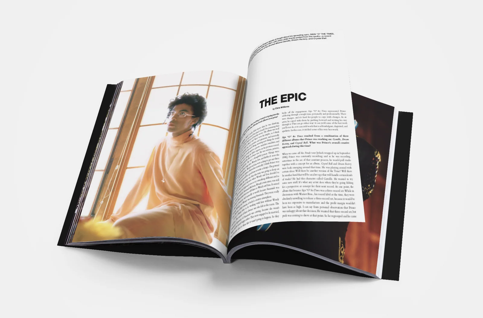 The Prince Edition Owen Husney view 6