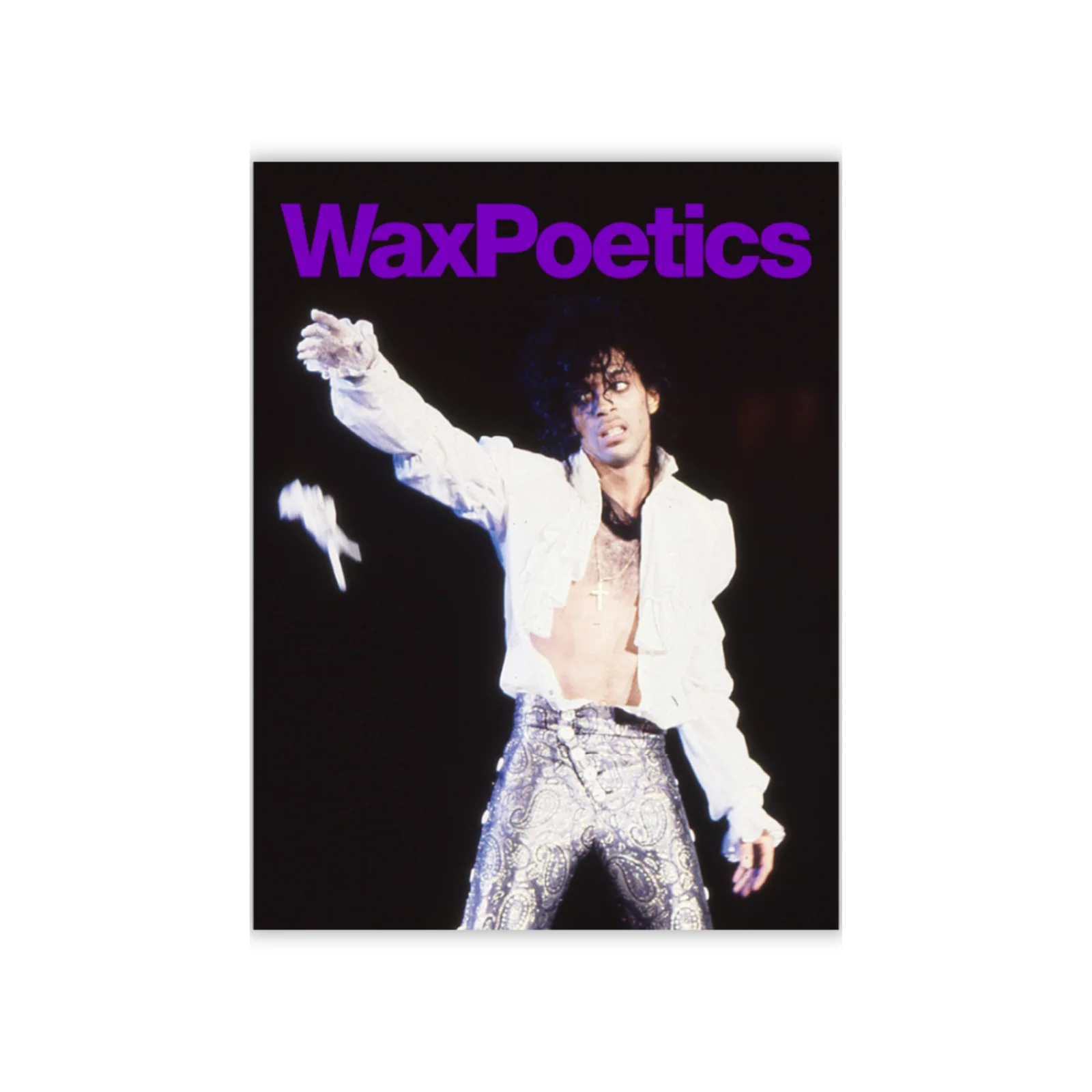 The Prince Edition Owen Husney view 2