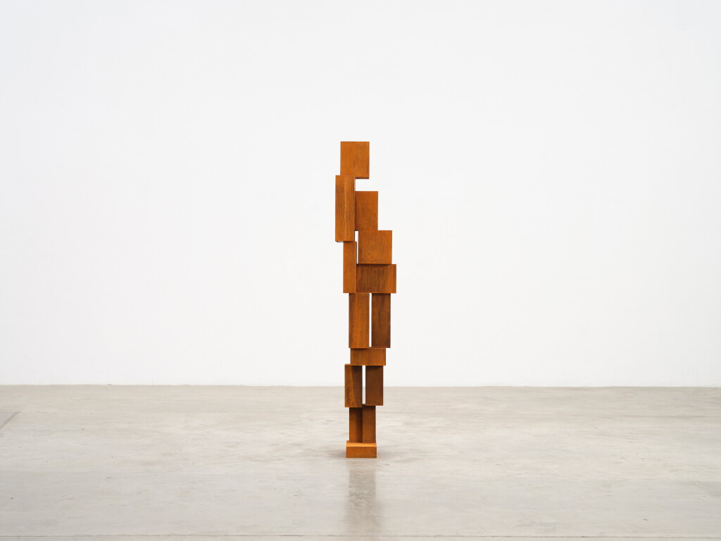 Antony Gormley view 4